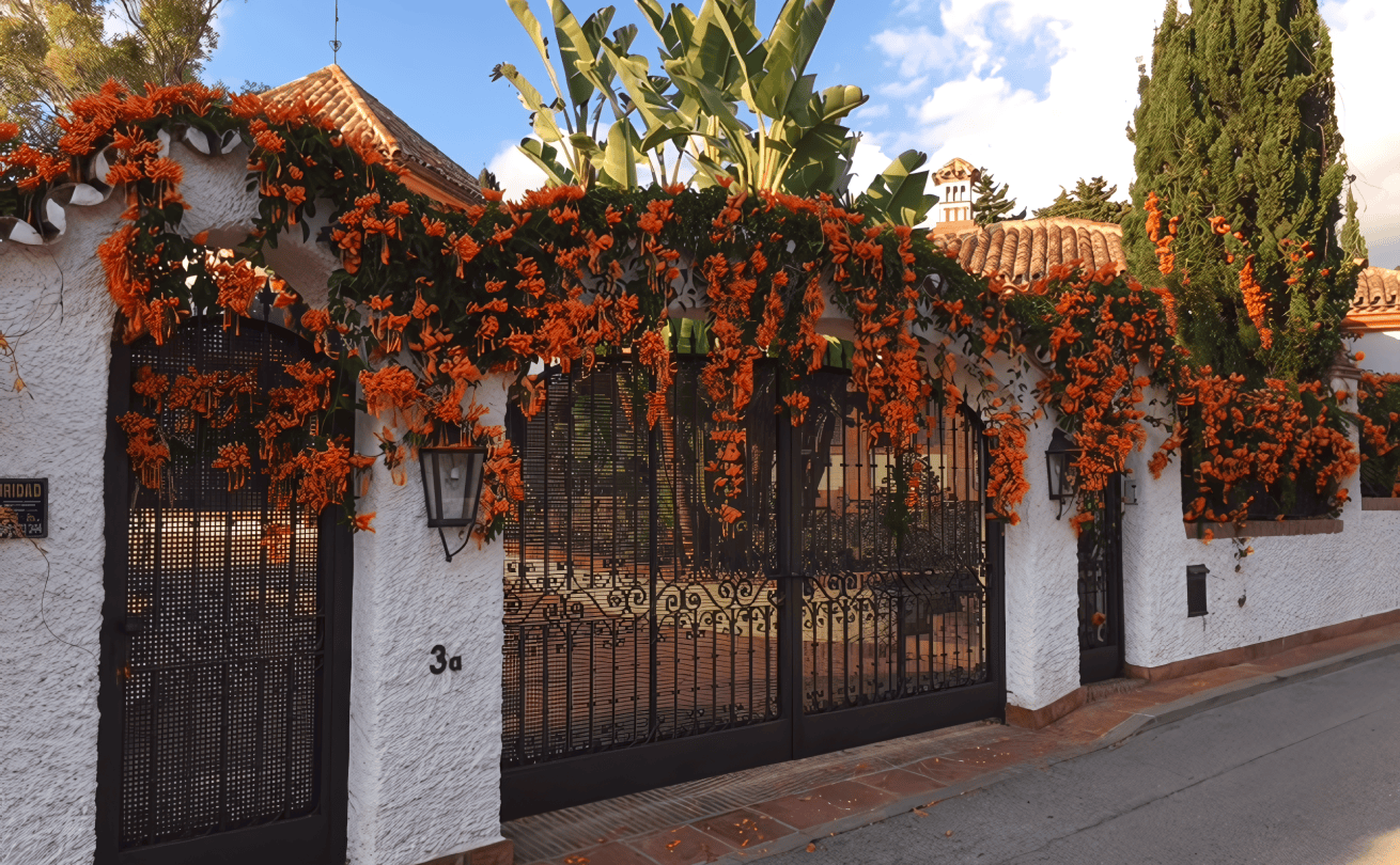 Majestic view of the Costa Bella coastal sanctuary with blooming bushes and ornate gates.