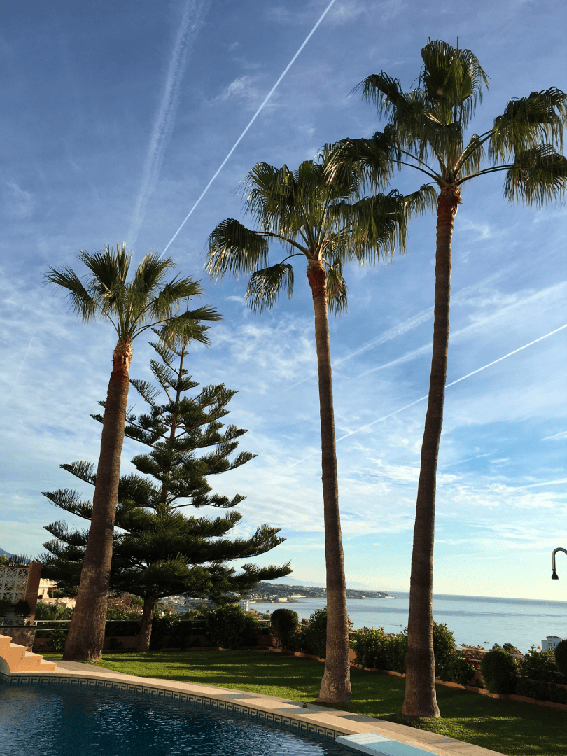 Sunset over the Torre Nueva coastal retreat with palm trees and ocean view.